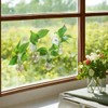 Bunmery 4 pcs Window Propagation Stations, Suction Cup Plastic Plant