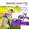 ThinkPet No Pull Harness Breathable Sport Harness with Handle-Dog Harnesses