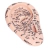 17cm Ear Point Probe 600pcs Auricular Patches Silicone Ear Model