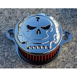 CHROME SKULL AIR INTAKE & AIR FILTER for Harley Davidson Sportster XL 883 1200