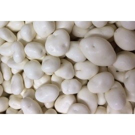 Bayside Candy Yogurt Covered Raisins | Yogurt Raisins | Yogurt Coated Raisins (2LB)