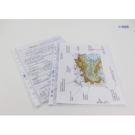 Favorit Buste Perforate, Buccia d'Arancia, Spessore Basso, 22 x 30 cm, 25 Pezzi + 1 Omaggio, Trasparenti