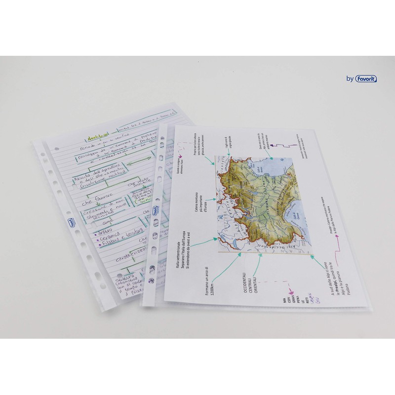 Favorit Buste Perforate, Buccia d'Arancia, Spessore Basso, 22 x 30