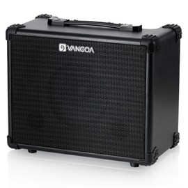 Vangoa Bass Guitar Amplifier 15W Portable Electric Bass Combo Amp Small for Bass Practice Amp Indoor Outdoor, Black