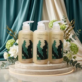 Mongul Cloud Partners Cheongmijeong Kelp Shampoo, Itchy Scalp, Seborrheic Scalp Shampoo, Itchy Head, 3 pieces / 청미정 다시마 샴푸 두피가려움 지루성두피샴푸 머리가려움, 3개