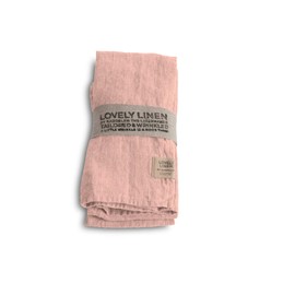 Lovely Linen NL0145 Lovely Napkin Litchi 45 x 45 cm Pack of 4 (Pack of 1)