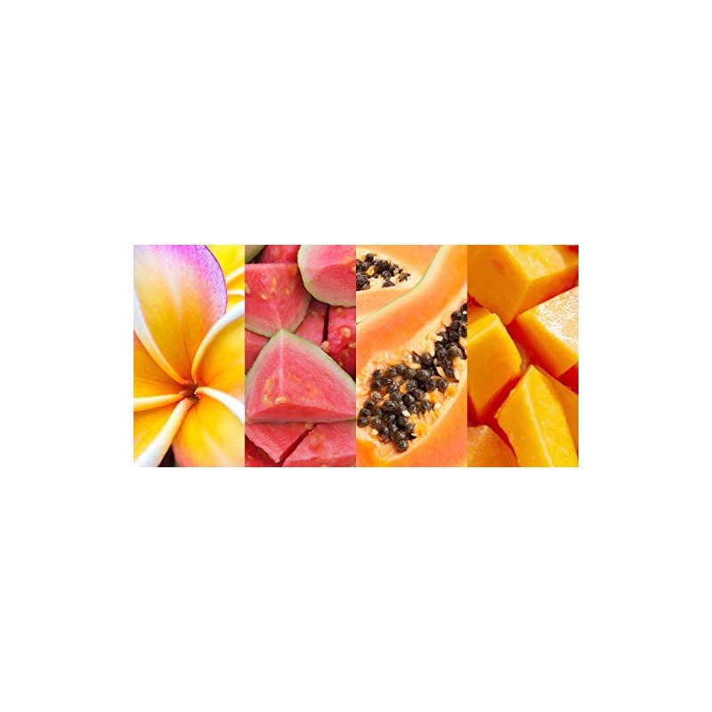 Hawaiian Tropic Silk Hydration After Sun