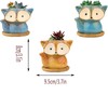Fayemint Pack of 3 Succulent Pots, Ceramic Succulent Pots, Small