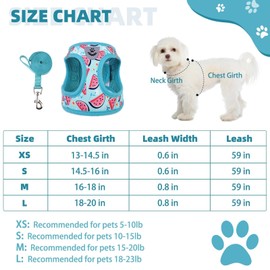 KOOLTAIL Dog Harness and Leash Set for Small Medium Dogs, Step in No Pull Soft Mesh Dog Harness Comfort Padded Pet Vest, Adjustable Reflective Easy Walking Puppy Cats Harness Training, Watermelon S
