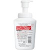 hadakara Body Soap, Foam, Floral Bouquet Scent, Main Unit, 19.7