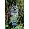 St Helens Home & Garden Life-Sized Decoy Owl with Rotating