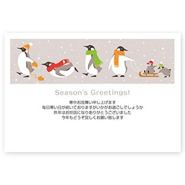 KS-42 Cold Weather Postcard, Pack of 5, Stylish Postcard