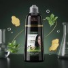 Shampoo Tinte Instantáneo Cubre Canas Natural Jengibre 500ml