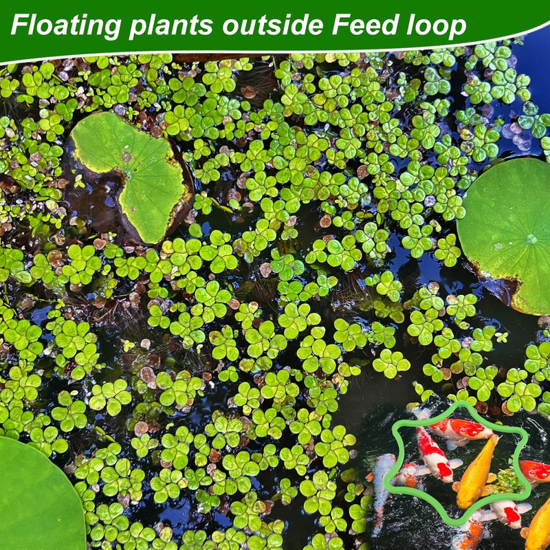 PEUTIER 5pcs Aquarium Floating Plant Rings, Foam Floating Plant Corral