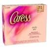 Caress Nature's Daily Silk Beauty Bar Soap - 12/4oz by