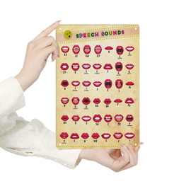 Homely Accents Phoneme Articulation Educational Poster, Vintage Metal Tin Sign with Vowel Mouth Diagrams, for Classroom and Home Learning 8x12 Inches