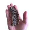 Novelty Cheetah Hair Clip,Acetate Hair Clip,Big Claw Clip for Women,Funny