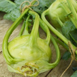 Early White Vienna Kohlrabi - 150 Seeds