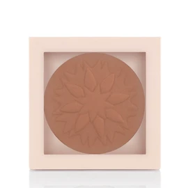 Pastel Profashion Beauty Filter Makyaj Sabitleyici Transparan Pudra 01