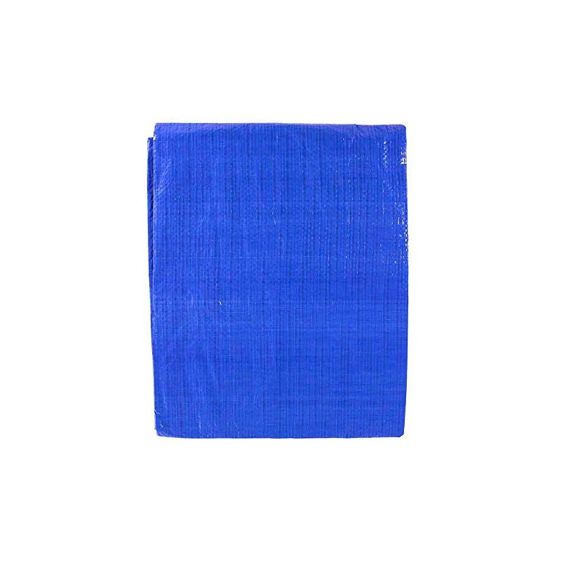 Golberg 6-ft x 8-ft General Purpose Poly Tarp (Blue)