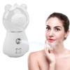 Nano Mist Sprayer Cute Bear Shape 300ML USB Humidifier Skin