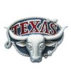 Urban Backwoods Texas Longhorn IX Belt Buckle for Interchangeable Belt
