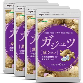 Seed Coms Gajutsu Purple Turmeric Supplement, Approx. 12 Months Supply, 720 Tablets