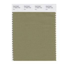 PANTONE Smart 17-0625X Color Swatch Card, Boa