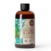 Organic Succulent & Cactus Plant Food - Gentle Liquid Fertilizer