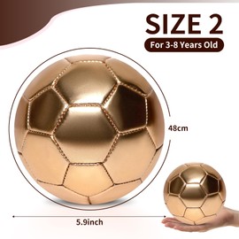 DLUGOPIS Size 2 Toddler Soccer Ball Golden Kids Soccer Ball Mini Soccer Ball Age 3-8 for Boys Girls Outdoor Grass Yard Toys Sport Gift