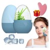 Rodillo Silicón Hielo Para Masaje Facial Reutilizable