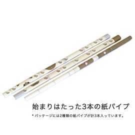 Piperoid Animals Cat Series Sham - Fun for Elementary School and Adults Paper Craft Kit - For Boys and Girls Who Love Origami