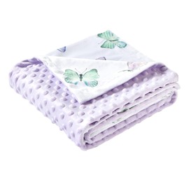 iEvolve Baby Nursery Bed Blankets Ultra Soft Double Layer Mini Blanket Minky Blanket Receiving Blankets Shower Gifts(30"*40",Butterfly)