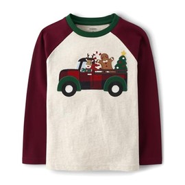 Gymboree,and Toddler Embroidered Graphic Long Sleeve T-Shirts,Christmas Cabin,4T