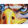 Springbok American Eagle 1000 Piece Jigsaw Puzzle - Challenge Yourself