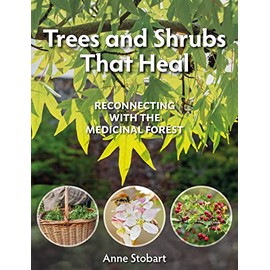 Trees and Shrubs that Heal: Reconnecting with the Medicinal Forest