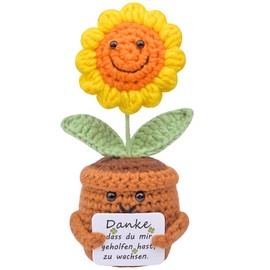 Mwmoeen Pocket Hug Positive Sunflower, Creative Knitting Wool, Positive Potato, Positive Succulent, Positive Cactus, Best Friend Gifts for Girlfriend, Small Gifts for Women