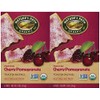 Nature's Path Frosted Toaster Pastry - Cherry Pomegranate - 11