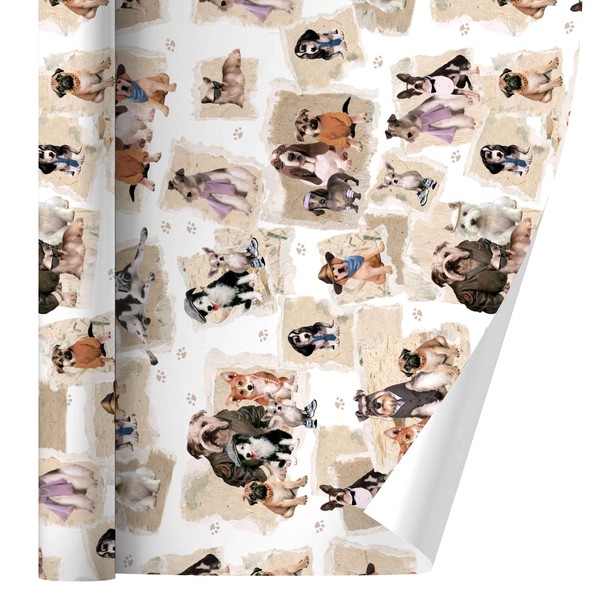 GRAPHICS & MORE Cool Dudes Dogs in Outfits Gift Wrap