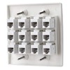 IBL - Cat6 Keystone Ethernet Wall Plate Female to Female