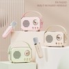 Mini Karaoke Machine for Kids, Portable Bluetooth Speaker with 2