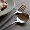 Cutipol G008GR GOA Gray Silver Dessert Spoon