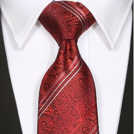 KissTies Mens Red Paisley Necktie Burgundy Floral Holiday Tie + Gift Box