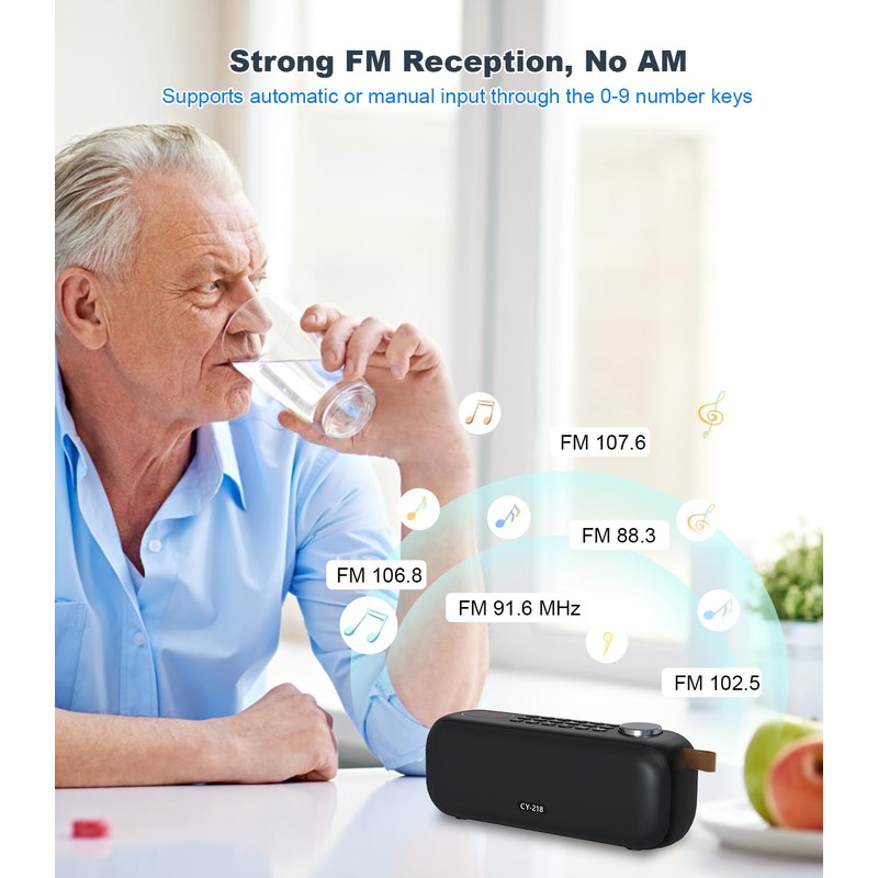 Portable Bluetooth Speaker FM Radio Digital, Support USB/SD Card MP3
