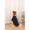 Spajoy Dog Shirts 2pcs Blank Shirts Soft for Small Medium