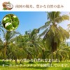 COCO GARDEN Organic 100% Organic Coconut Oil 500ml Extra Virgin