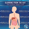 Purely Optimal Premium Probiotics 60 Billion CFU w/Organic Prebiotics &