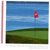 Sewroro 4pcs Golf Green Flags Targeting Golf Practice Flag Court