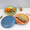 Homienly 10 inch Wheat Straw Dinner Plates Set of 8