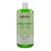 Caja 12 Shampoo Extracto De Bergamota Celesty 1lt